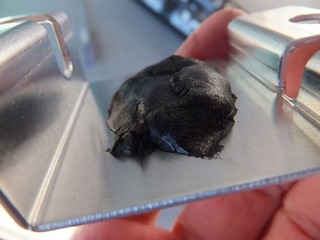 DSCF8060.jpg