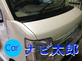 IMG_7374̃Rq゚[.jpg